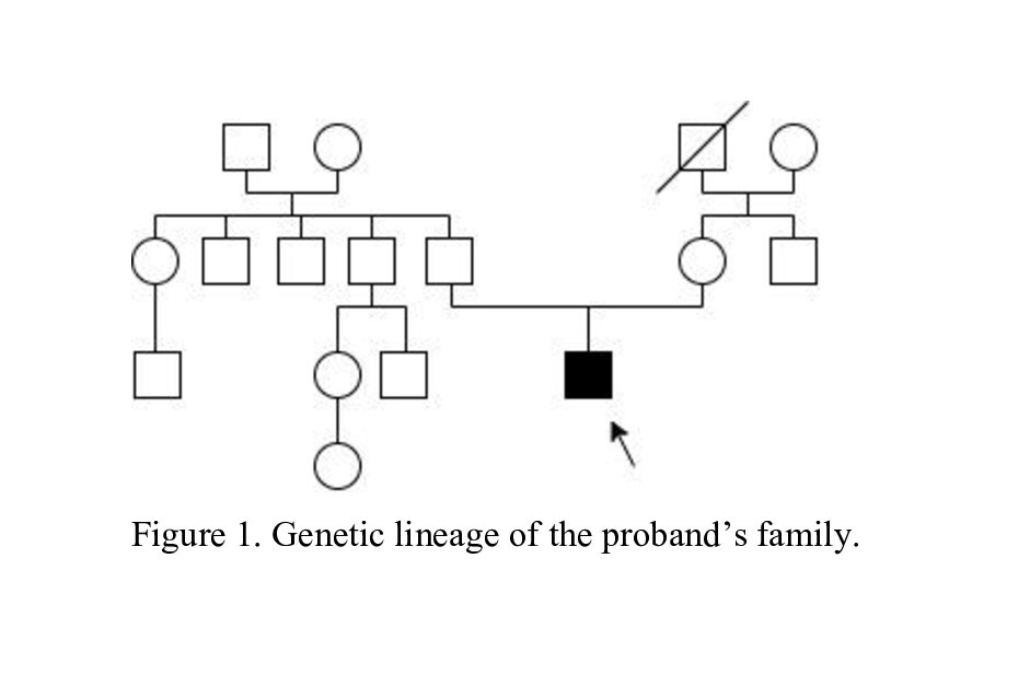 Expanding the phenotype associated to KMT2A variants: overlapping