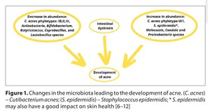 Figure from article: Acne therapy, probiotics...