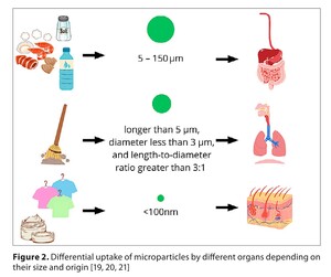 Figure from article: Multiple effects of...