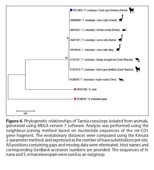 Figure from article: First report of...