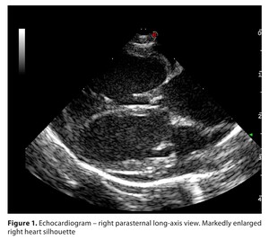 Figure from article: The first autochthonous...
