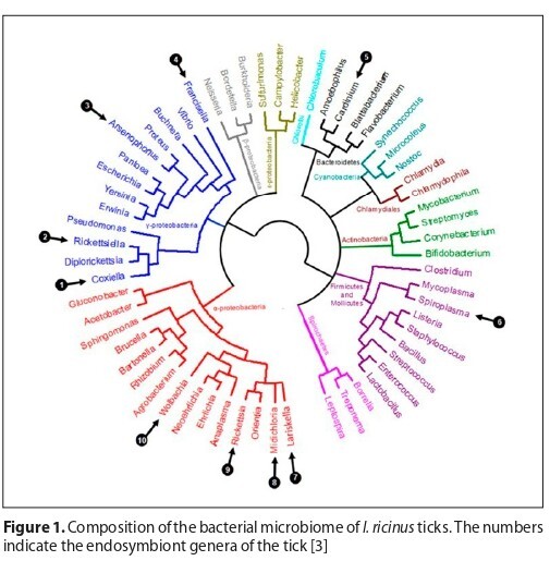 Figure from article: Comparative analysis of...