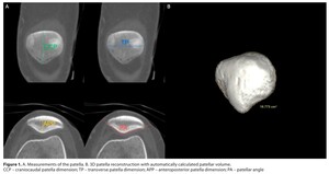 Figure from article: Reliability of patellar...