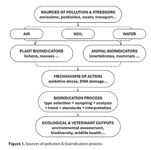 Figure from article: Bioindicators as a...