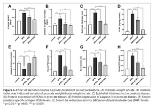 Figure from article: Targeting PI3K/Akt/NF-κB...