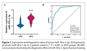 Figure from article: miR-181a-1-3p affects the...