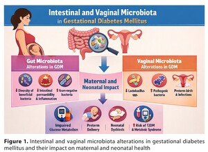 Figure from article: Intestinal and vaginal...