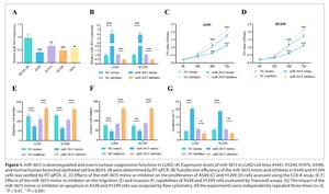 Figure from article: miR-3615 suppresses...