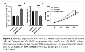 Figure from article: Expression of miR-802 in...