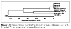 Figure from article: Screening of individuals...