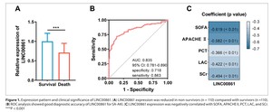 Figure from article: LINC00861 protects against...
