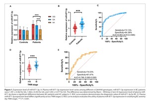 Figure from article: The miR-877-3p polymorphism...