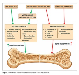 Figure from article: The digestive system...