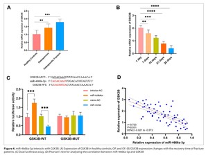 Figure from article: The function of...