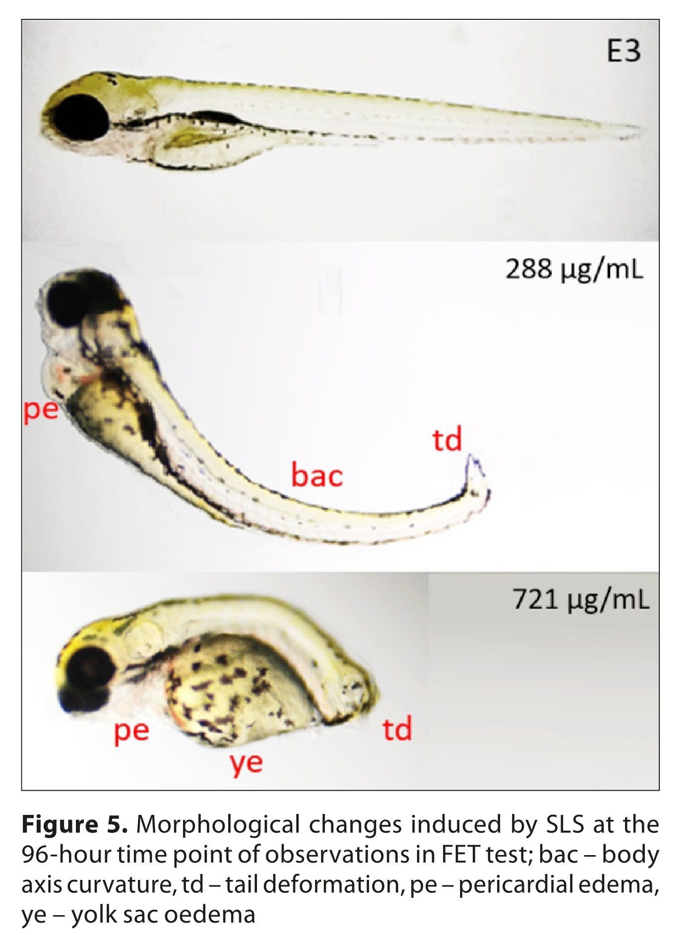 Figure from article: Toxicological profile of...