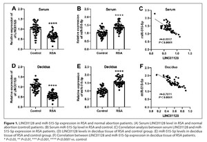 Figure from article: LINC01128 suppresses the...