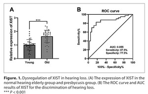 Figure from article: Long noncoding RNA XIST...